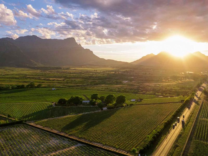 An expansive aerial view of agricultural land featuring established vineyards, open fields, and a scenic mountain backdrop at sunset.