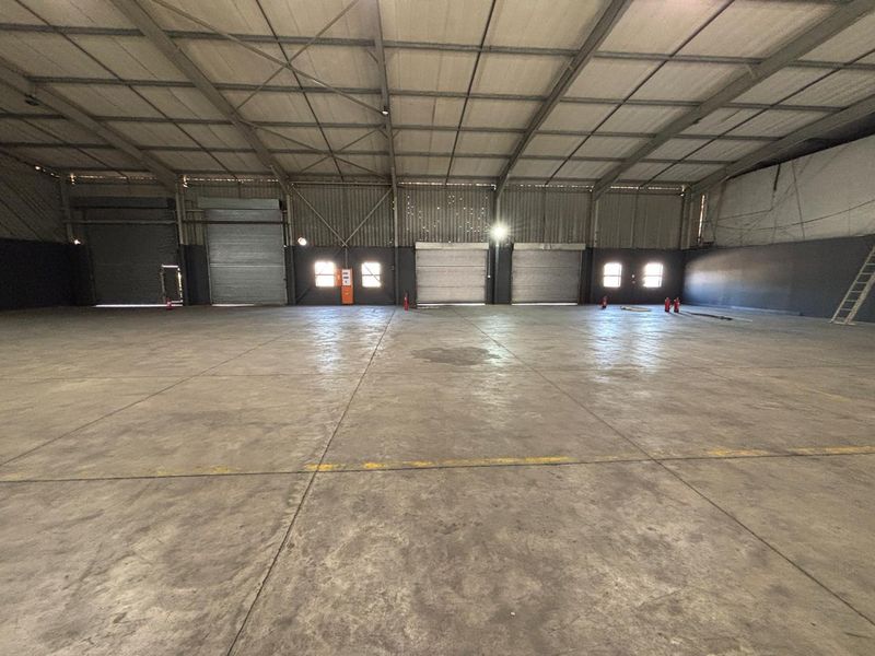 Spacious industrial warehouse featuring high ceilings, concrete flooring, and multiple roller shutter doors for efficient loading and access.