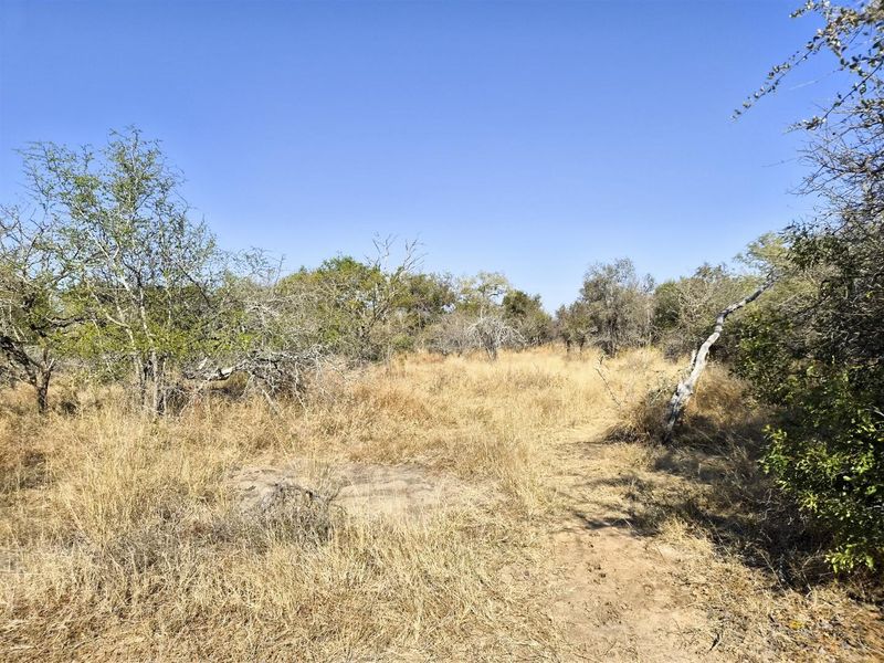 A view of the natural, undeveloped residential land featuring native bushveld vegetation and dry grass.