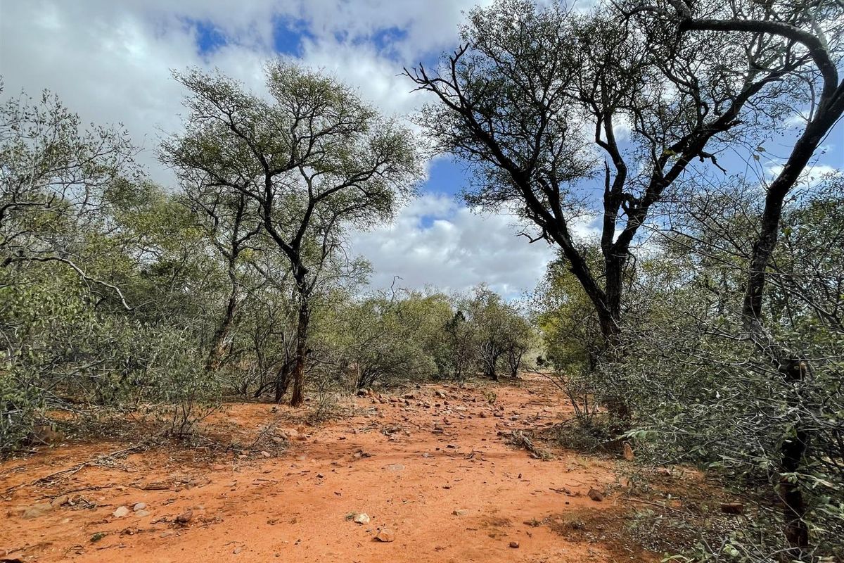 Prime 1-Hectare Stand for Sale in Canyon Game Reserve - Photo 4