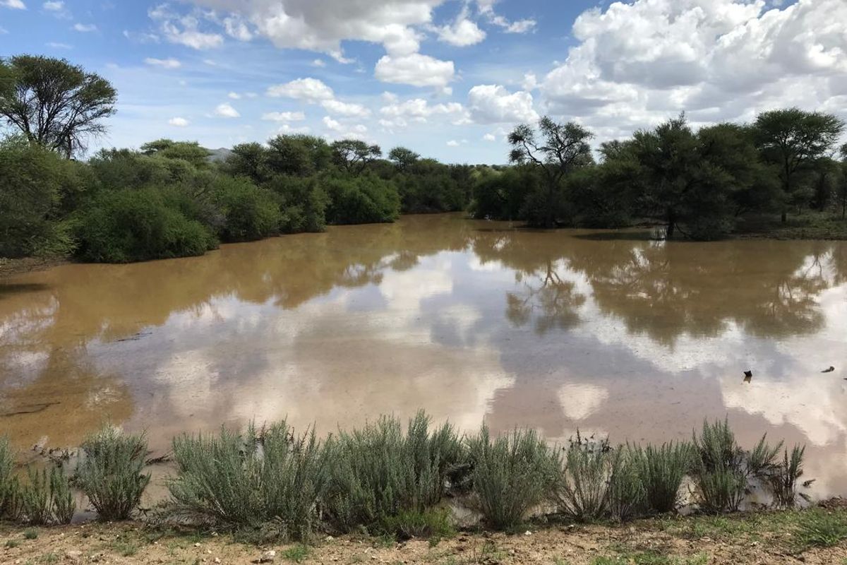 Omaruru- Large Game farm with strong water - Photo 3