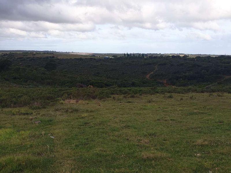 50 hectares with So much potential - Photo 9