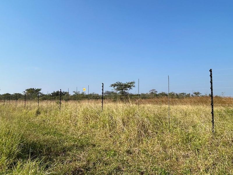 21 ha Mixed-Production Farm with Strong Water Availability - Photo 7