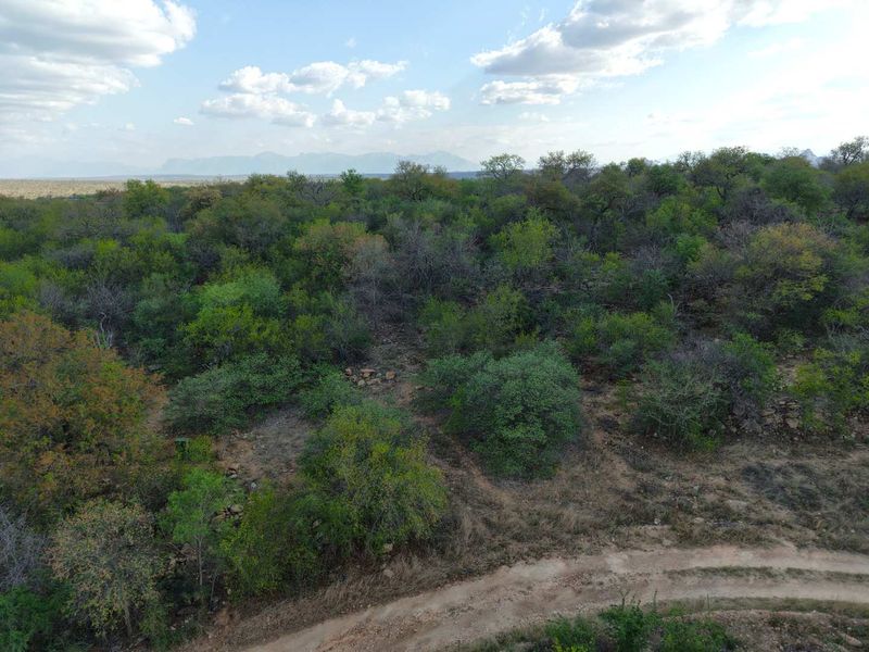 Aerial view of a vacant residential plot featuring dense native bushveld vegetation and an unpaved access track.