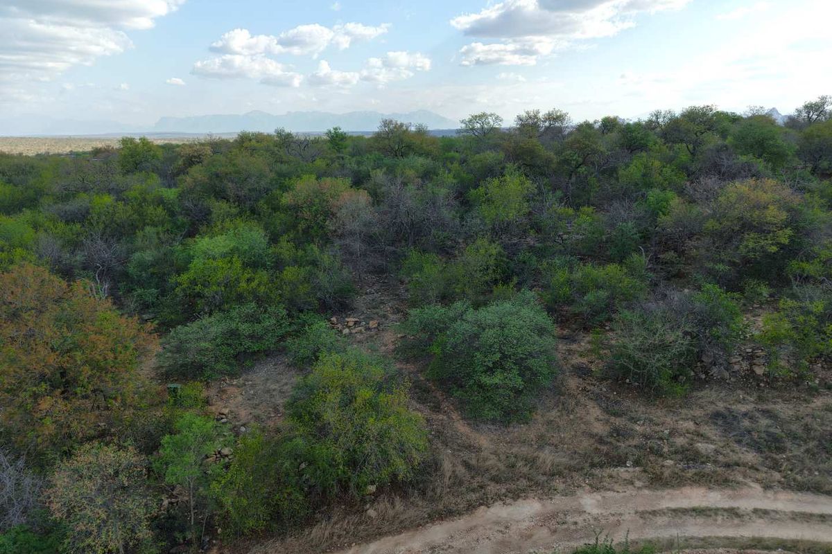 Aerial view of a vacant residential plot featuring dense native bushveld vegetation and an unpaved access track.