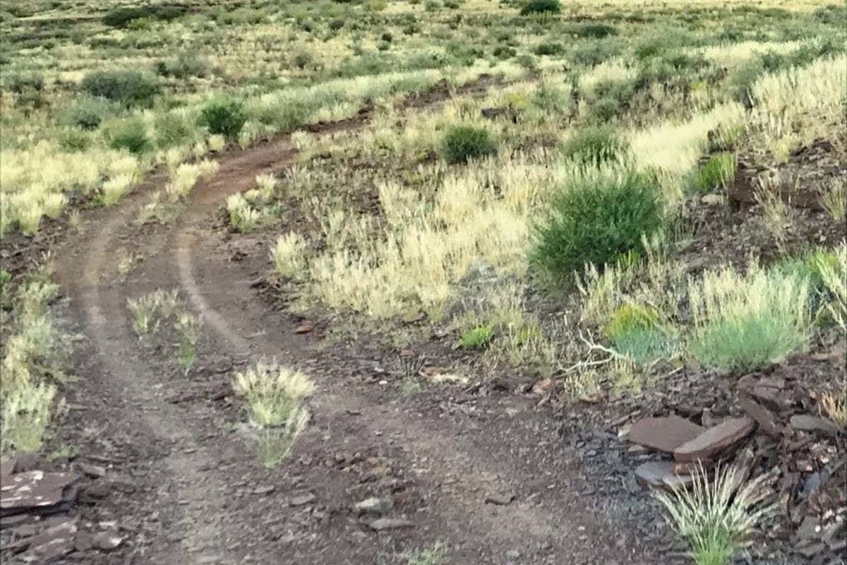 Exceptional farming opportunity just 75 km Southeast of Keetmanshoop! - Photo 2