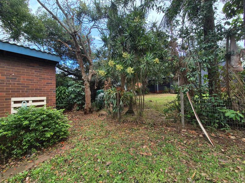 A view of the rear garden area featuring mature trees, a brick exterior wall, and wire mesh fencing.