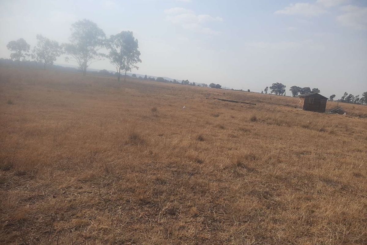 Expansive open field on a small holding property featuring dry grass and a small detached wooden structure in the distance.