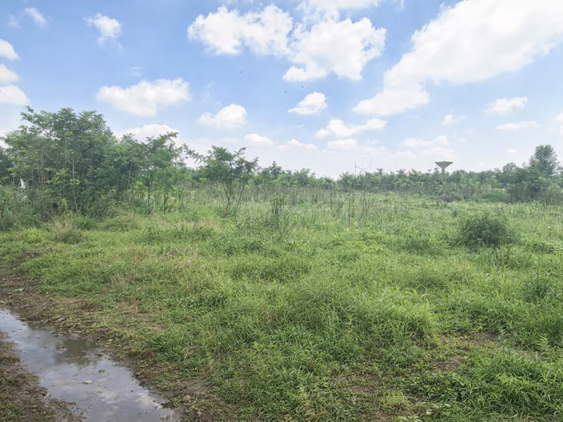 Vacant Land For Sale - Photo 4