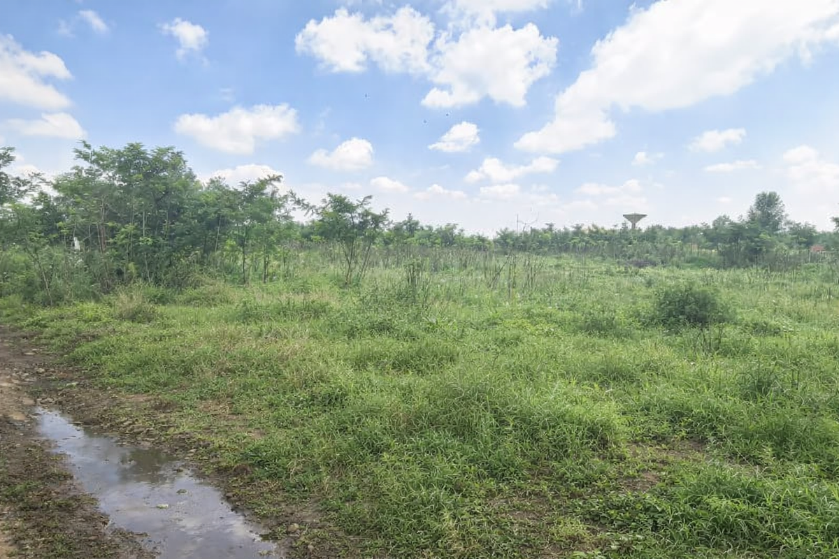 Vacant Land For Sale - Photo 4