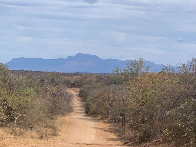 A scenic view of a dirt road leading through natural bushveld towards distant mountains on this vacant residential land.