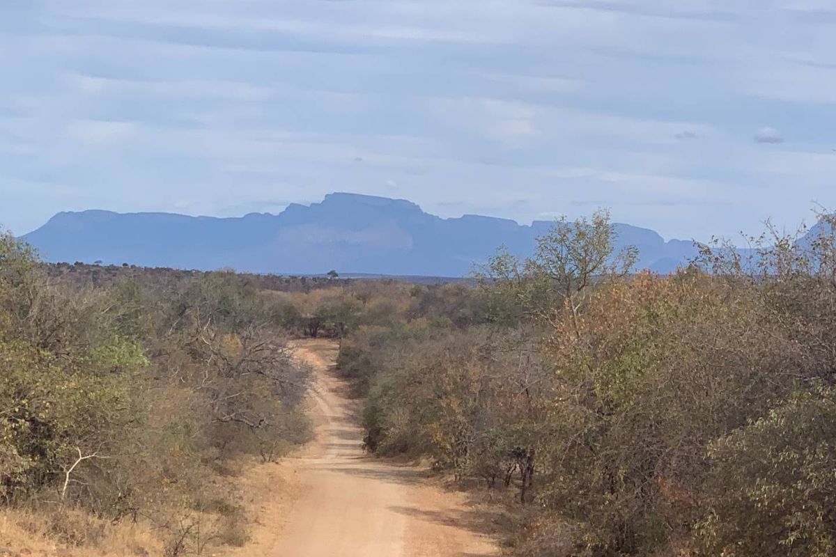 A scenic view of a dirt road leading through natural bushveld towards distant mountains on this vacant residential land.
