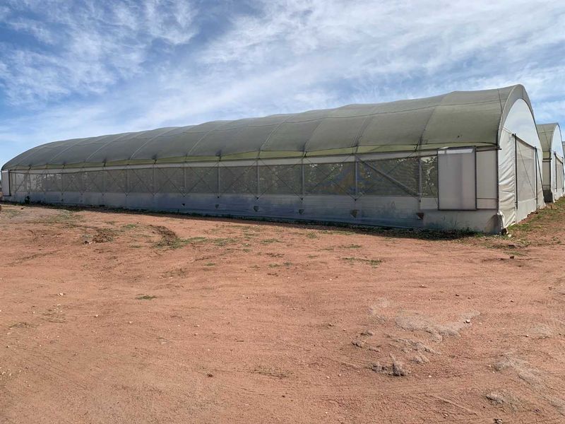 Established fresh produce plot - Photo 5