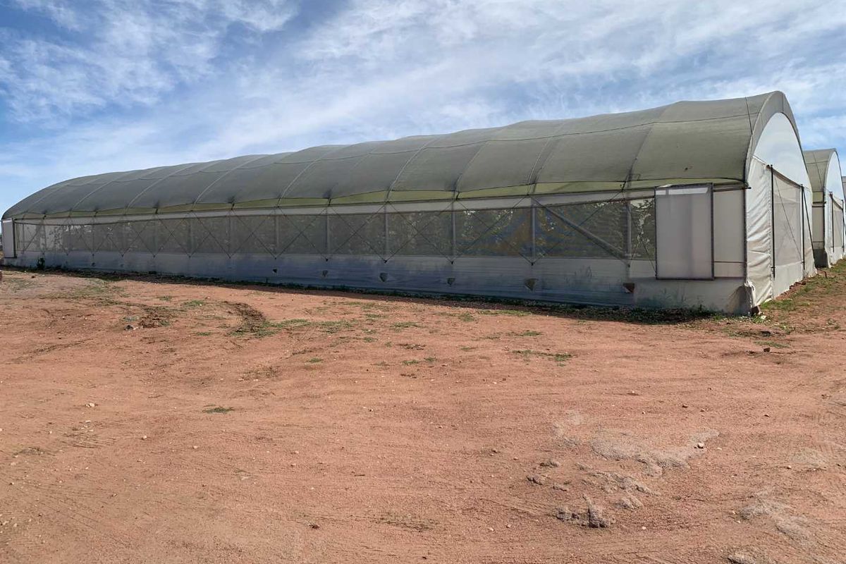 Established fresh produce plot - Photo 5