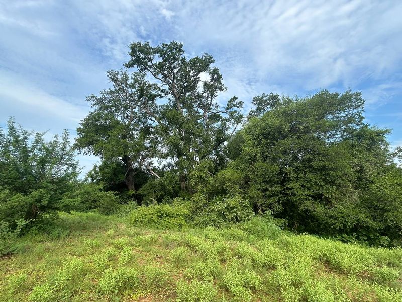 Vacant Land for sale in the new and popular Elephant Rock Eco Estate!! - Photo 8