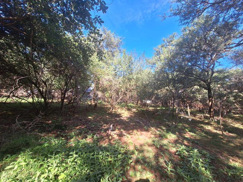 Prime 800m2 Plot in Leeupoort - Tranquil Retreat - Photo 7