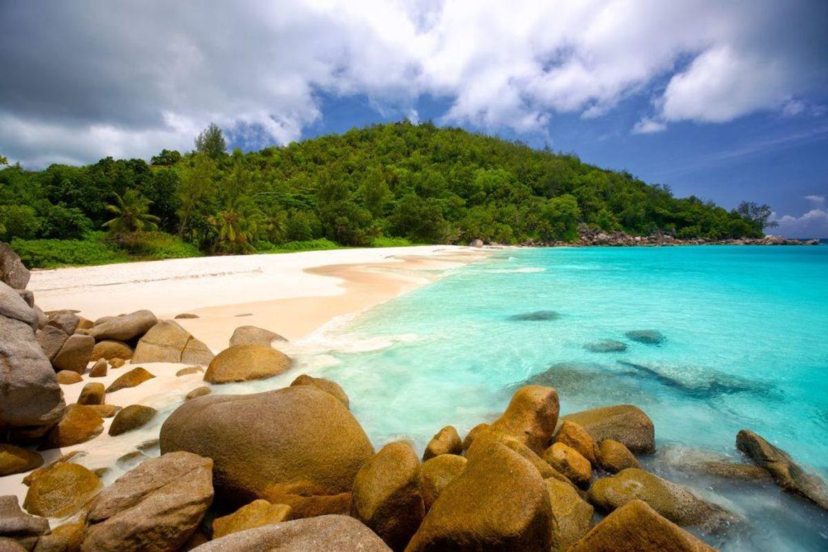 EXCLUSIVE PRIVATE ISLAND SALE - Photo 2