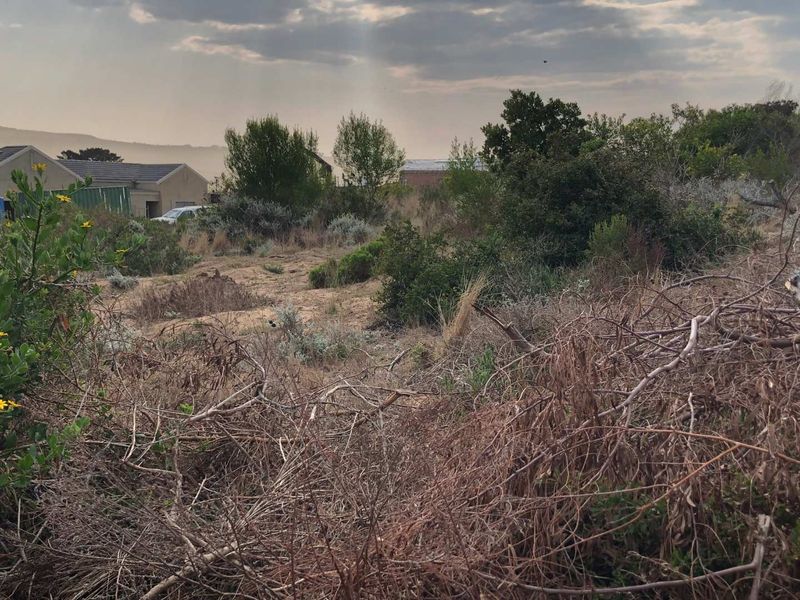 Nature Lover's Haven: Private Reserve & Wildlife at Your Doorstep - Photo 6