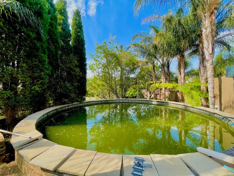 A circular swimming pool set within a landscaped garden area, currently requiring maintenance and water treatment.