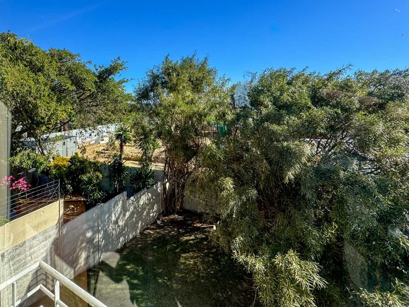 Elevated view overlooking a private garden area with mature trees and a concrete boundary wall.