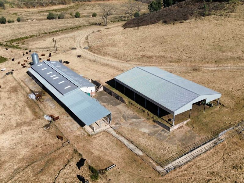 Aerial view of a farm property featuring two large metal-roofed barns, a silo, and extensive livestock handling infrastructure set within open grazing land.