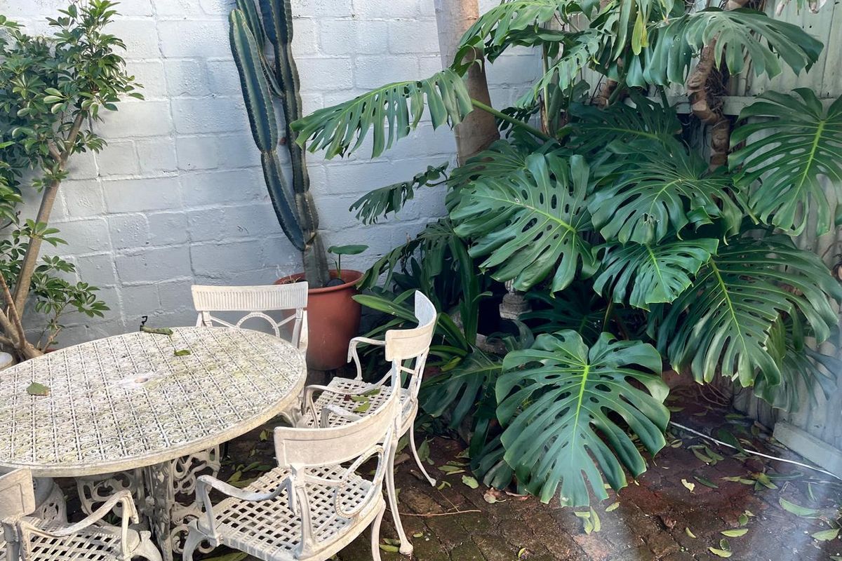 A private courtyard area featuring brick paving and a painted masonry boundary wall, surrounded by established tropical greenery.