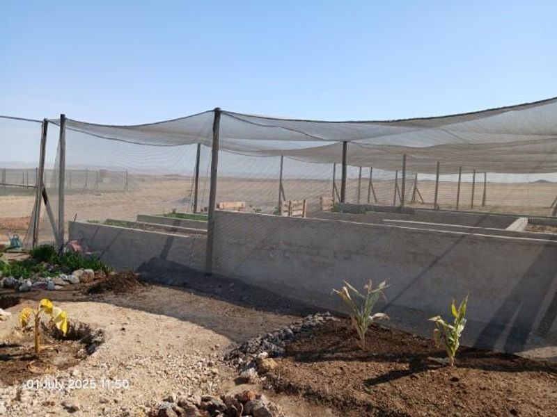 Swakop River Plot with established agricultural business for Sale - Photo 3