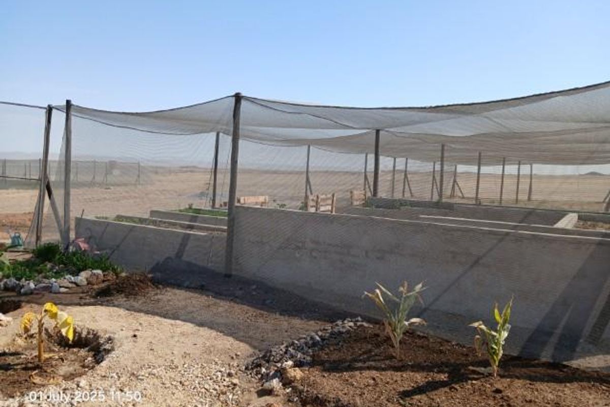 Swakop River Plot with established agricultural business for Sale - Photo 3