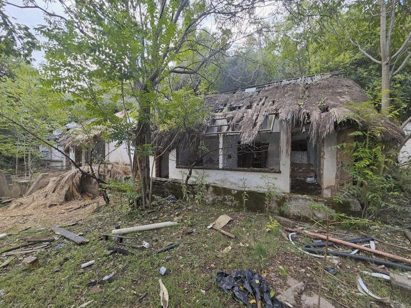 Prime Investment Opportunity: 64 Hectares of Potential on the Lesotho/RSA Border - Photo 4