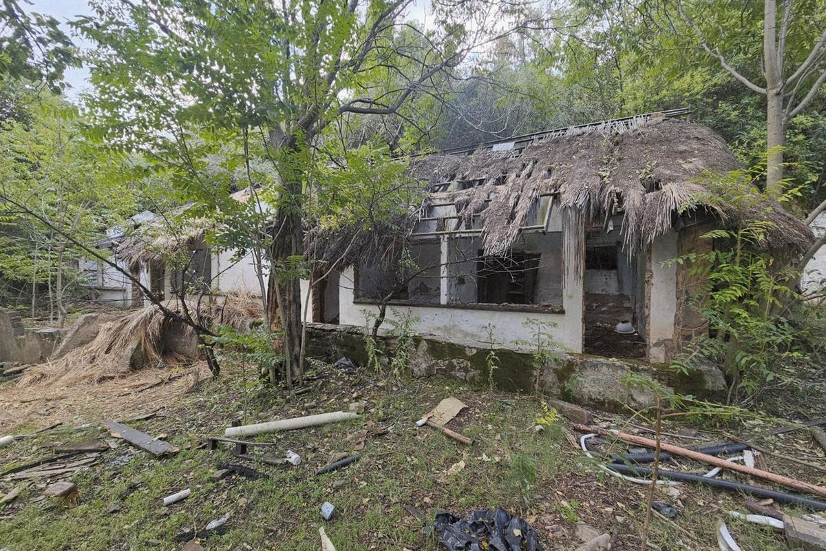 Prime Investment Opportunity: 64 Hectares of Potential on the Lesotho/RSA Border - Photo 4