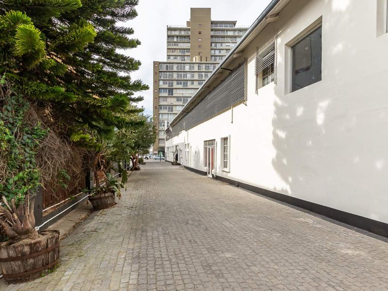 A paved rear exterior walkway featuring a white building facade with metal window louvers and mature landscaping.