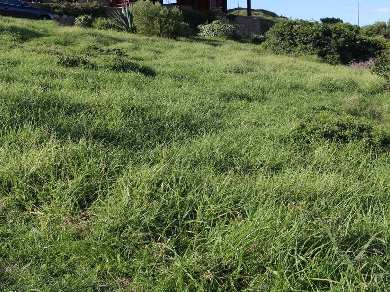 Vacant Land For Sale In Dana Bay - Photo 3