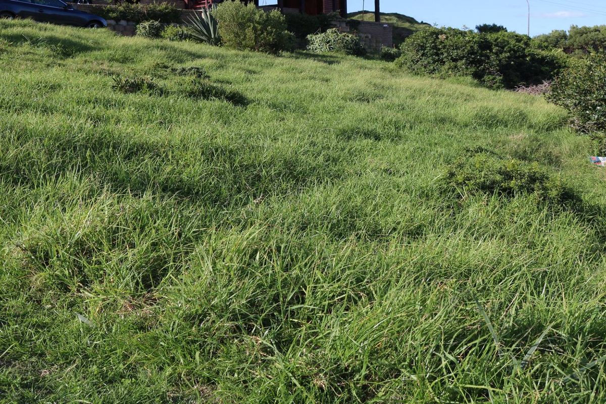 Vacant Land For Sale In Dana Bay - Photo 3