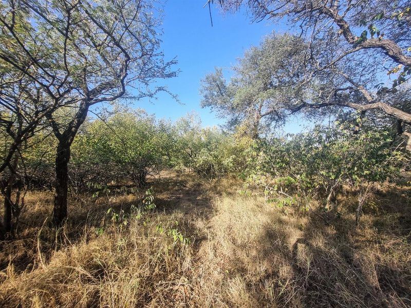 Stand with Bushveld views. - Photo 4