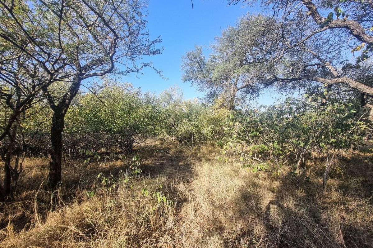 Stand with Bushveld views. - Photo 4