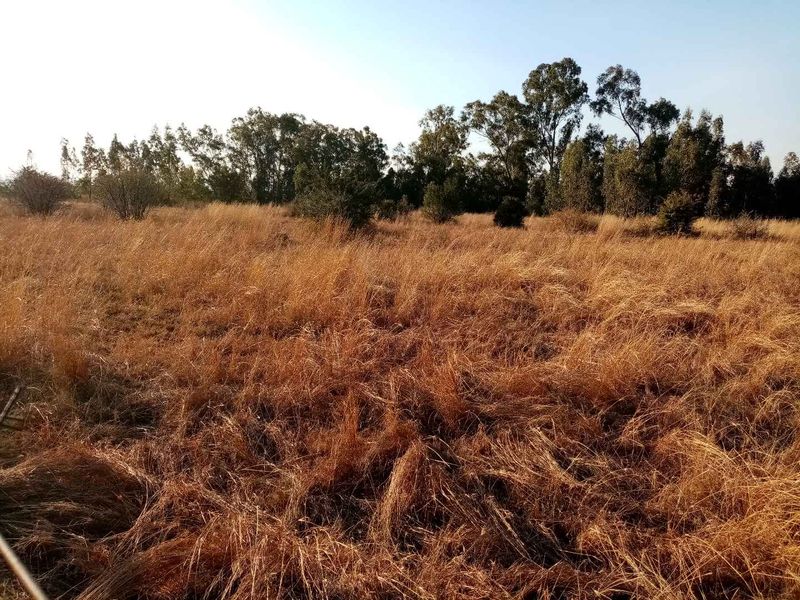 Developer's opportunity this prime piece of land in the CBD of Riversdal, Meyerton - Photo 2