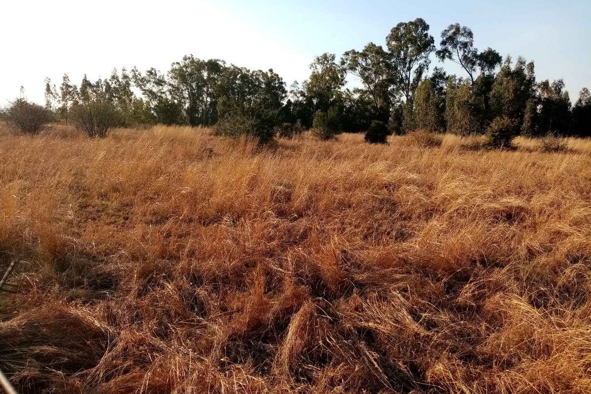 Developer's opportunity this prime piece of land in the CBD of Riversdal, Meyerton - Photo 2