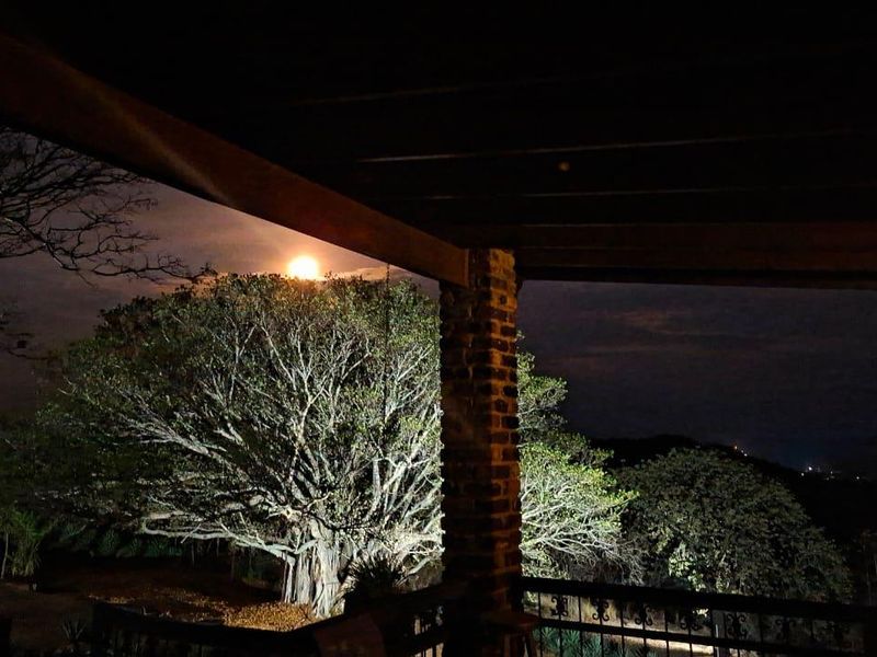 Bushveld Lifestyle Farm - Photo 8