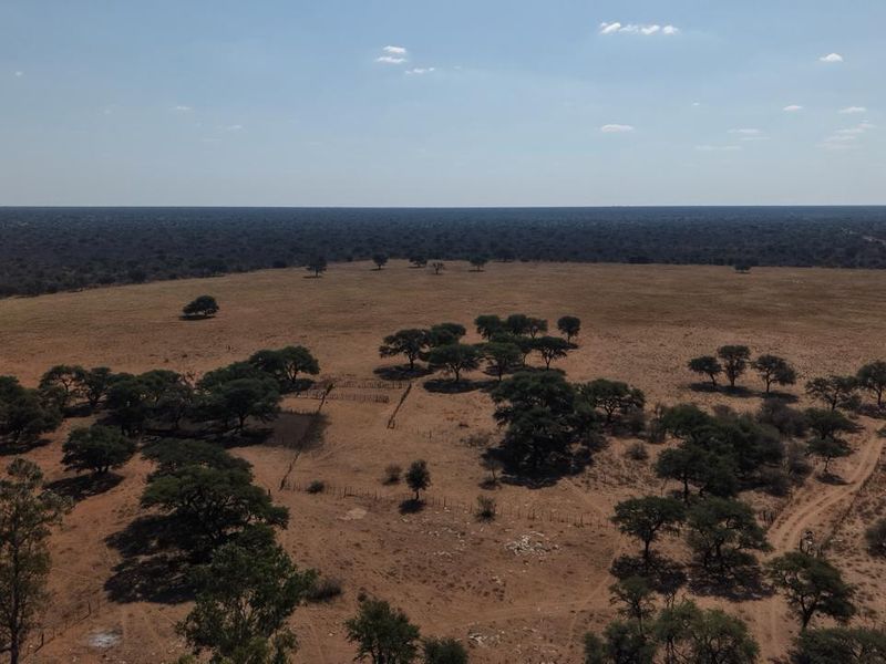 An aerial view of a large, open farm landscape featuring scattered trees, natural vegetation, and existing perimeter fencing.