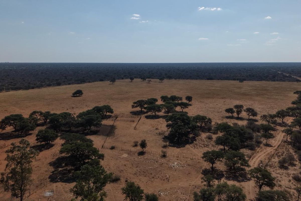 An aerial view of a large, open farm landscape featuring scattered trees, natural vegetation, and existing perimeter fencing.