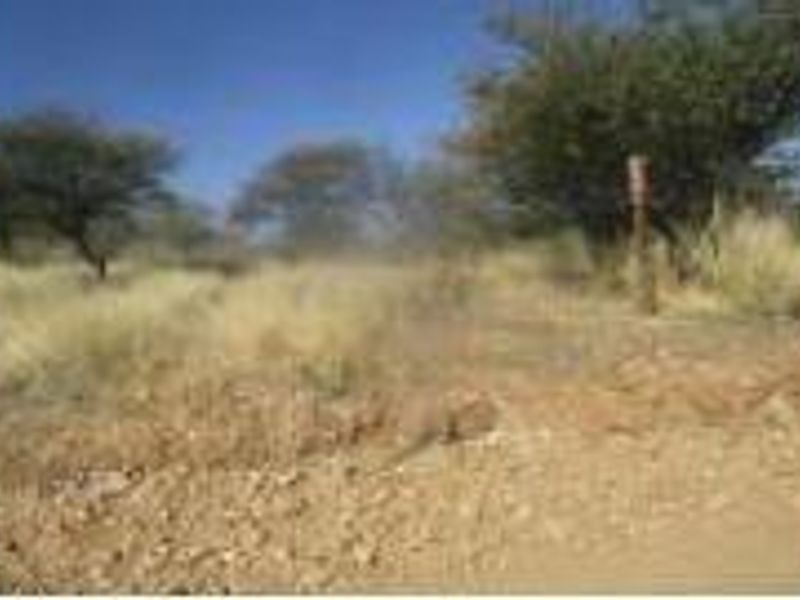 A view of the vacant residential land featuring natural vegetation and unpaved access.