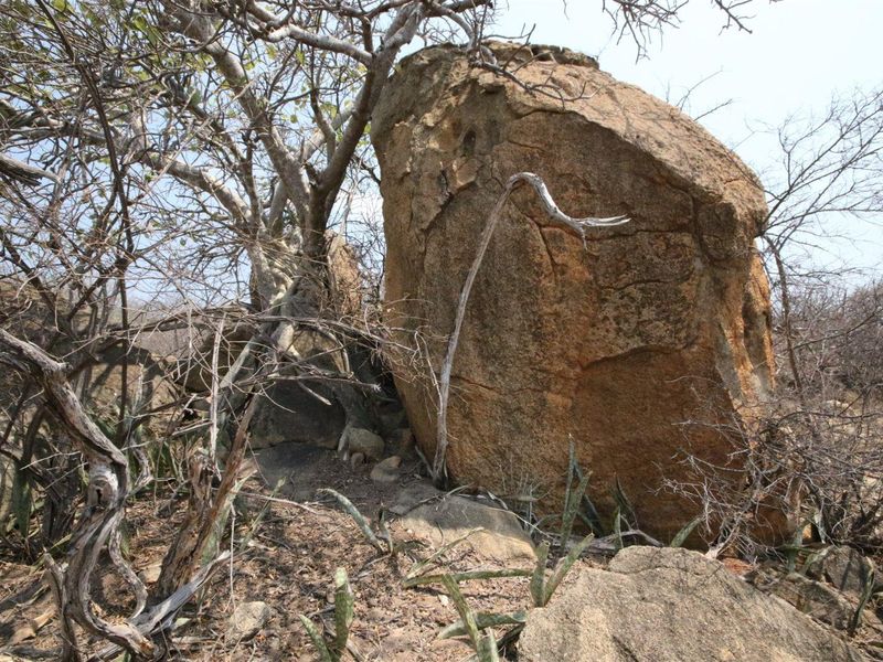 Exclusivity and quietness is the name of the game. - Photo 7