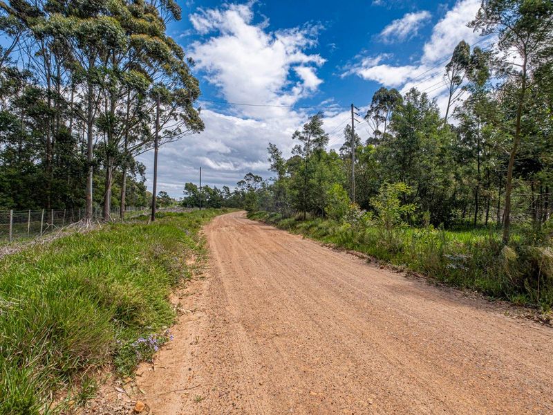 Step into a realm of possibilities with this exceptional Industrial property. - Photo 9