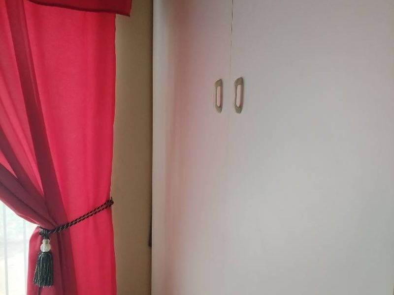 SMALL HOLDING FOR SALE IN ELLOFF - Photo 9