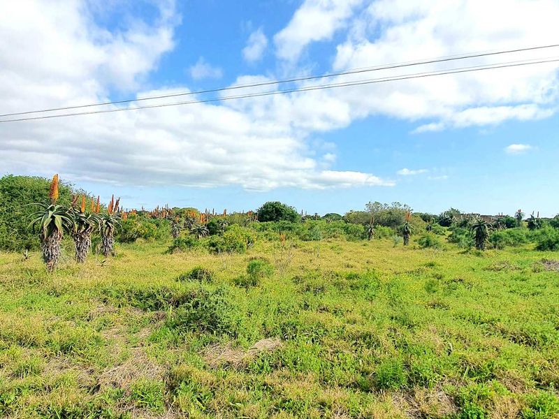 LIFESTYLE FARM FOR SALE - Photo 7