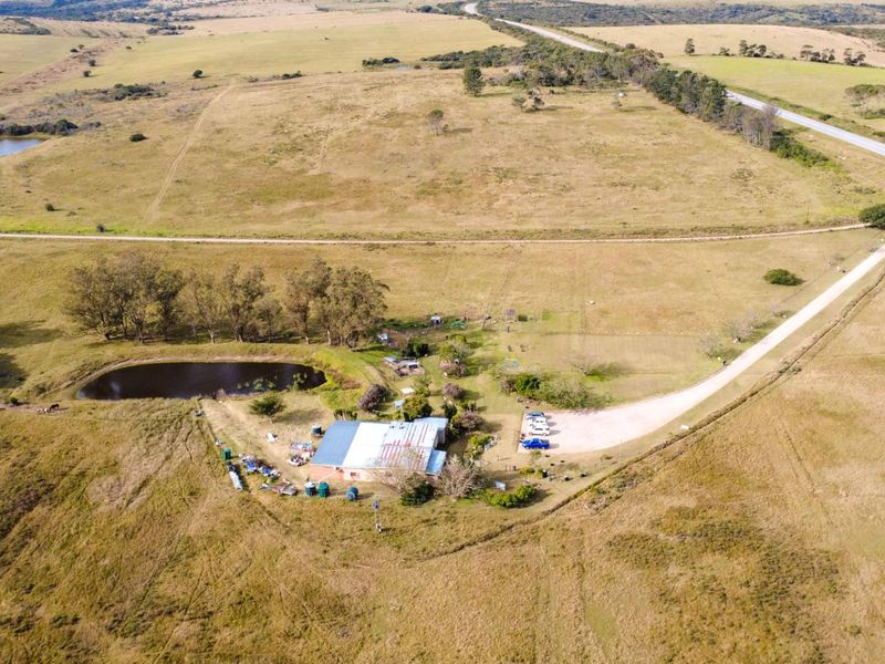 Beautiful 21 ha Farm for Sale - A Rare Opportunity - Photo 6