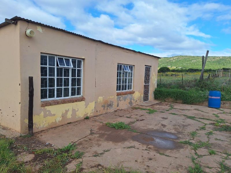 Prime Agricultural Property for Sale – Exceptional Opportunity for Mixed Farming - Photo 8
