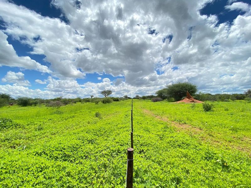 A wide-angle view of the open small holding land featuring natural vegetation and a wire boundary fence.