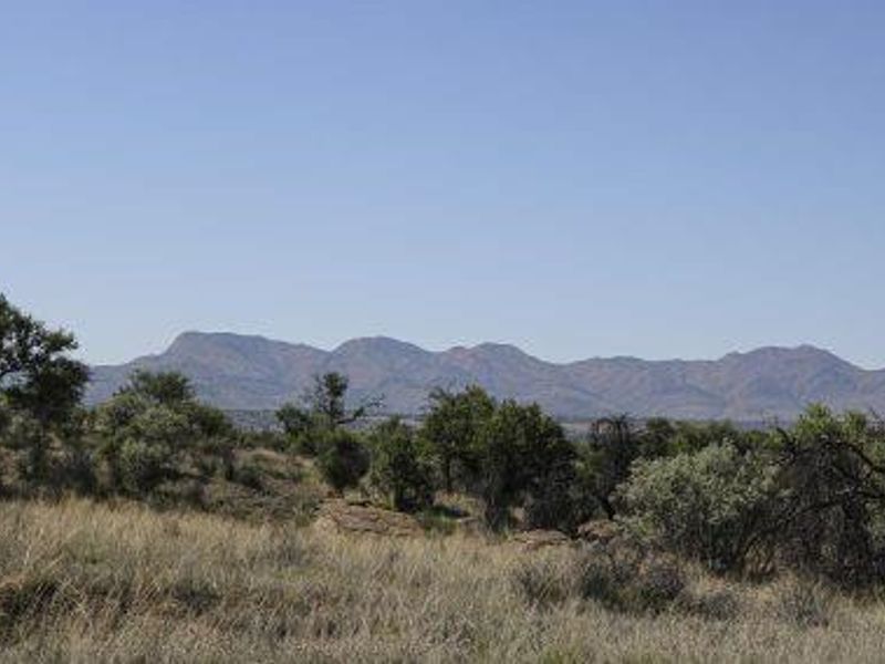 Herboths Blick - Woodlands - 31 premium plots, sold per hectare. - Photo 2