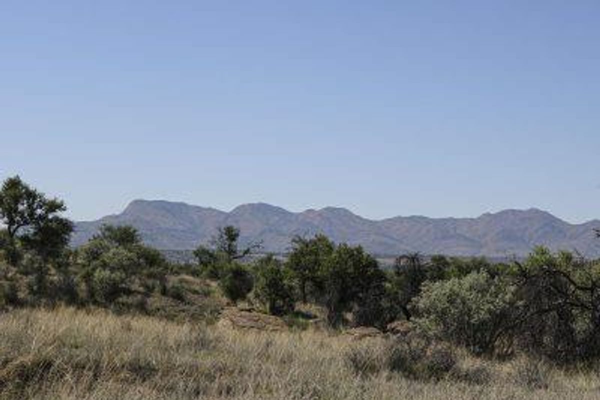 Herboths Blick - Woodlands - 31 premium plots, sold per hectare. - Photo 2